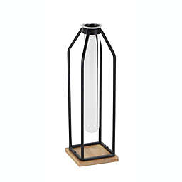Cheungs Home Indoor Decorative Tall Metal Stand with Glass Tube - Large, Black
