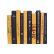 Booth & Williams Gold and Navy Team Colors Decorative Books, One Foot Bundle of Real, Shelf-Ready Books