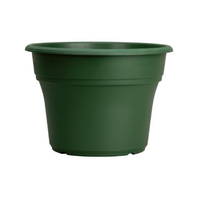 Myers Industries The HC Companies Plastic Flower Pot Planter for Outdoor Plants, Green 6"