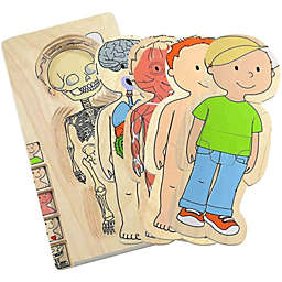 Your Body Layer Puzzle (Boy)
