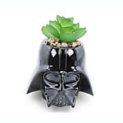 Star Wars Darth Vader Helmet 3-Inch Ceramic Mini Planter with Artificial Succulent   Small Flower Pot, Faux Indoor Plants For Desk Shelf, Home Decor Trinket Tray   Movie Gifts and Collectibles