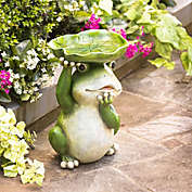 Evergreen Frog Resin Bird bath