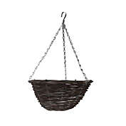 Ambassador Willow Plant Hanging Basket
