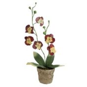Northlight 14" Crimson Red and Banana Yellow Decorative Orchids in Pot