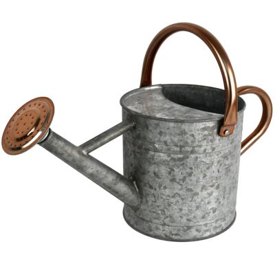 Homarden 1 Gallon Copper Colored Watering Can - Metal Watering Can With Removable Spout
