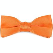 Boxed Boy&#39;s Poly Satin Clip On Bow Ties