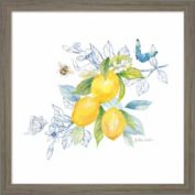 Great Art Now Lemon Sketch Book III by Cynthia Coulter 13-Inch x 13-Inch Framed Wall Art