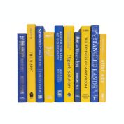 Booth & Williams Blue and Gold Team Colors Decorative Books, One Foot Bundle of Real, Shelf-Ready Books