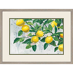 Great Art Now Zesty Lemons by James Wiens 25-Inch x 19-Inch Framed Wall Art