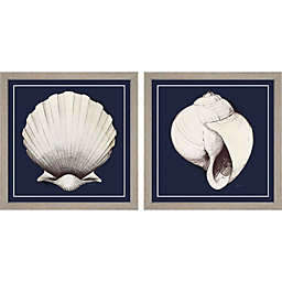 Great Art Now Coastal Shell with Border Navy by Avery Tillmon 13-Inch x 13-Inch Framed Wall Art (Set of 2)