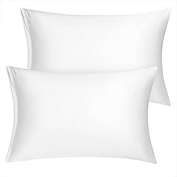 PiccoCasa Set of 2 Standard Satin Pillowcase with Zipper, Super Soft and Luxury, Silky Pillow Cases Covers, 21"x27", Snow White