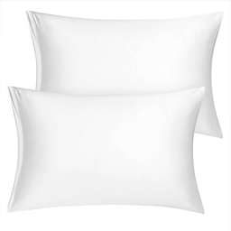 PiccoCasa Set of 2 Standard Satin Pillowcase with Zipper, Super Soft and Luxury, Silky Pillow Cases Covers, 20\
