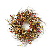 Contemporary Home Living 20" Cape Gooseberry Fall Harvest Artificial Thanksgiving Wreaths Unlit