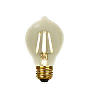 Xtricity - Old Style LED Bulb, 4.5W, E26 Base, 2200K Soft White