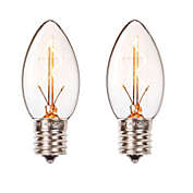 Darice Set of 2 Cleveland Vintage Lighting Edison Style E17 Base Candlestick Bulbs