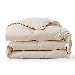 Unikome All Season 600FC Organic Cotton Goose Down Fiber Comforter in Off White, Twin