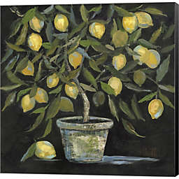 Great Art Now Lemon Tree by Kate Sherrill 12-Inch x 12-Inch Canvas Wall Art