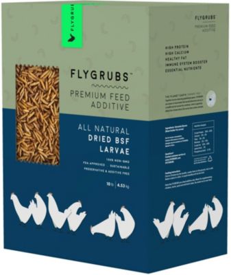 FLYGRUBS Superior To Dried Mealworms For Chickens (10 Lb) - 85x More Calcium Than Meal