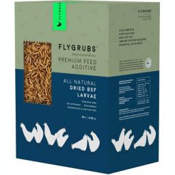 FLYGRUBS Superior To Dried Mealworms For Chickens (10 Lb) - 85x More Calcium Than Meal