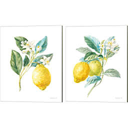 Great Art Now Floursack Lemon on White by Danhui Nai 12-Inch x 15-Inch Canvas Wall Art (Set of 2)