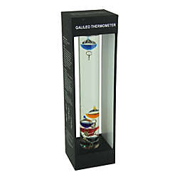 Chesapeake Bay  Glass Galileo Thermometer with Colored Glass Spheres in Wood Box Fact Frame