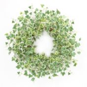 Slickblue Mixed Ivy Wreath 22"D Polyester