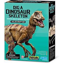 Dig a Dinosaur - Velociraptor