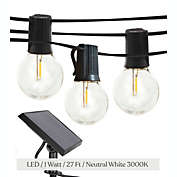 Ambience Pro Solar LED String Lights - G45, 1W, 27ft, 3000K