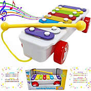 Big Daddy Play Baby - The Pull Along Musical Xylophone with 8 Colorful Keys for Babies