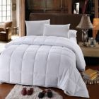 Alternate image 0 for Egyptian Linens - All Season Microfiber Down Alternative Comforter