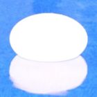 Alternate image 0 for The Pool Supply Shop 12" OroRemote Controlled Portable LED Illuminated Color Changing Oval