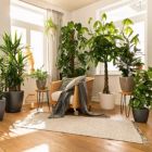 Alternate image 2 for Lechuza USA 11" Glossy Black Round Classico Planter with Water Reservoir