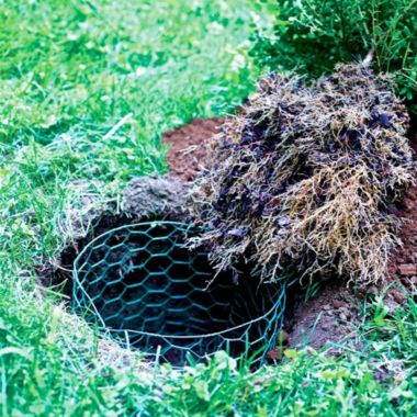 Garden Zone Poultry Netting 24 X 25' Steel Green Vinyl Coated. View a larger version of this product image.