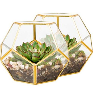 Deco 2 Pk Gold-Trimmed Glass Geometric DIY Terrarium, Succulent & Air Plant- Sphere Shaped for Indoor Gardening Decor- Create Your own Flower, Fern, Moss Centerpiece- Amazing Holiday. View a larger version of this product image.