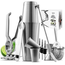 Kitchen Material Bartender Kit Complete Cocktail Shaker Bar Tools Set with Lemon Squeezer