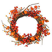 Northlight Red and Orange Fall Berry and Mini Pumpkin Artificial Thanksgiving Wreath - 20-Inch, Unlit