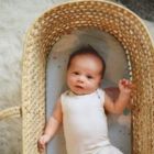 Alternate image 2 for JumpOff Jo - 2 Pk Fitted Bassinet Sheets, Soft, Flexible Fit for Oval, Rectangle, and Hourglass Standard Mattresses,  - Woodland and Rainbows