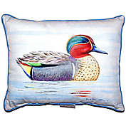 Zippered Betsy Drake Green Wing Teal Duck Outdoor Pillow 20 Inch x 24 Inch