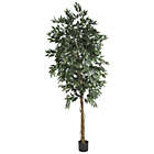 Alternate image 0 for Nearly Natural 6&#39; Smilax Silk Artificial Tree with Black Pot