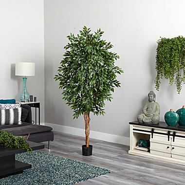 Nearly Natural 6&#39; Smilax Silk Artificial Tree with Black Pot. View a larger version of this product image.