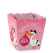 Big Dot of Happiness Girl Special Delivery - Party Mini Favor Boxes - Pink It&#39;s a Girl Stork Baby Shower Treat Candy Boxes - Set of 12