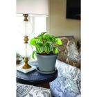 Alternate image 2 for The HC Companies Prima Round Plastic In/Outdoor Flower Pot Planter, Gray 12 in