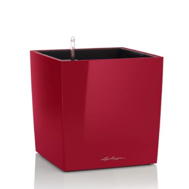 Lechuza USA 12" Red Cube Planter with Water Reservoir. View a larger version of this product image.