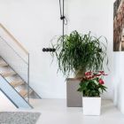 Alternate image 2 for Lechuza USA 12" Red Cube Planter with Water Reservoir