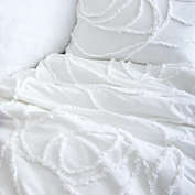 Dormify Boho Rose Comforter and Sham Set - Twin/Twin XL - White