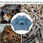 Alternate image 2 for Noa Store Bait Trap For Fishing Fish Traps For Fishing Foldable Used As Minnow Traps