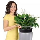 Alternate image 3 for Lechuza USA 30" Black Rondo Planter with Water Reservoir