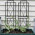 Alternate image 1 for Sunnydaze Contemporary Metal Wire Garden Trellis for Climbing Plants and Flowers - 30" H - Black - 2-Pack