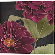 Great Art Now Burgundy Floral 2 by Heidi Kuntz 24-Inch x 24-Inch Canvas Wall Art