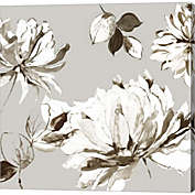 Metaverse Art Botanical Gray II by Asia Jensen 24-Inch x 24-Inch Canvas Wall Art